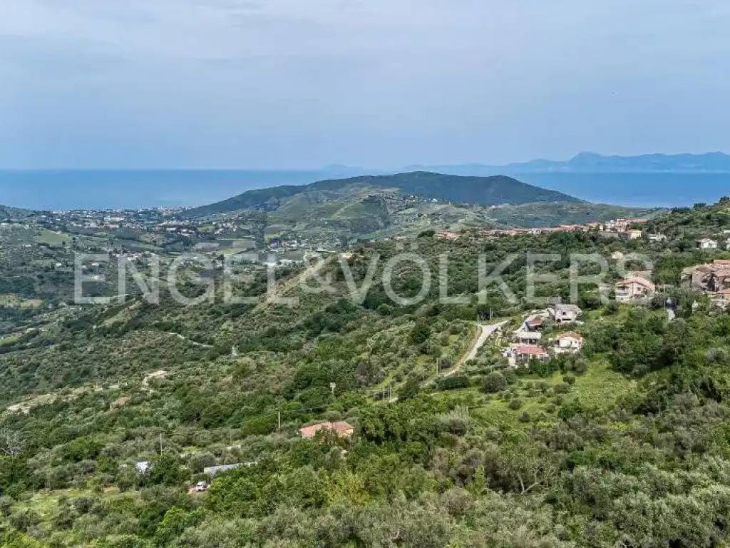 Terreno agricolo, archi, laureana cilento