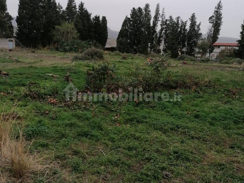 Terreno