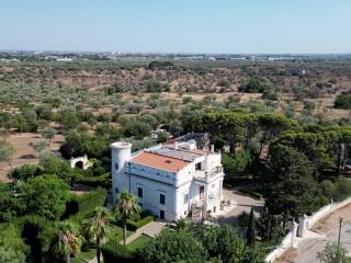 Vista