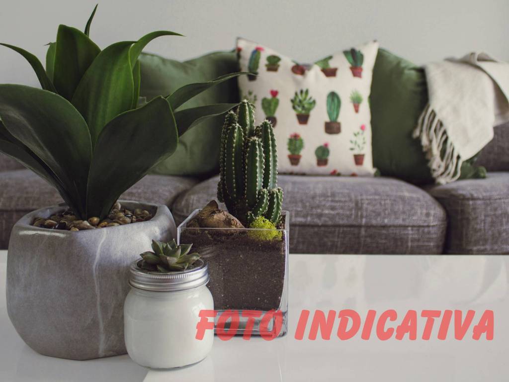 FOTO INDICATIVA HOME STAGING