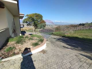 Zona