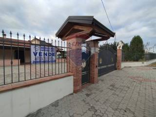 Zona