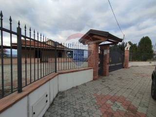 Zona