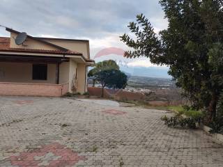 Zona
