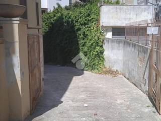 Zona