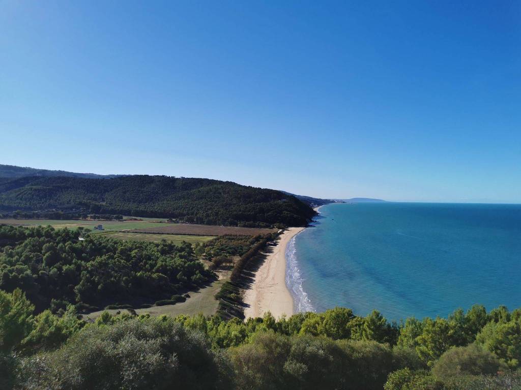 Terreno agricolo strada scorrimento veloce del gargano snc, vico del gargano