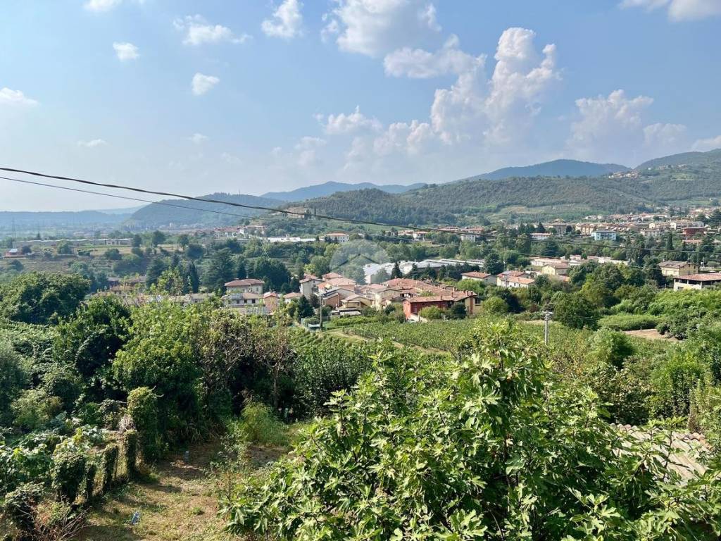 vista panoramica