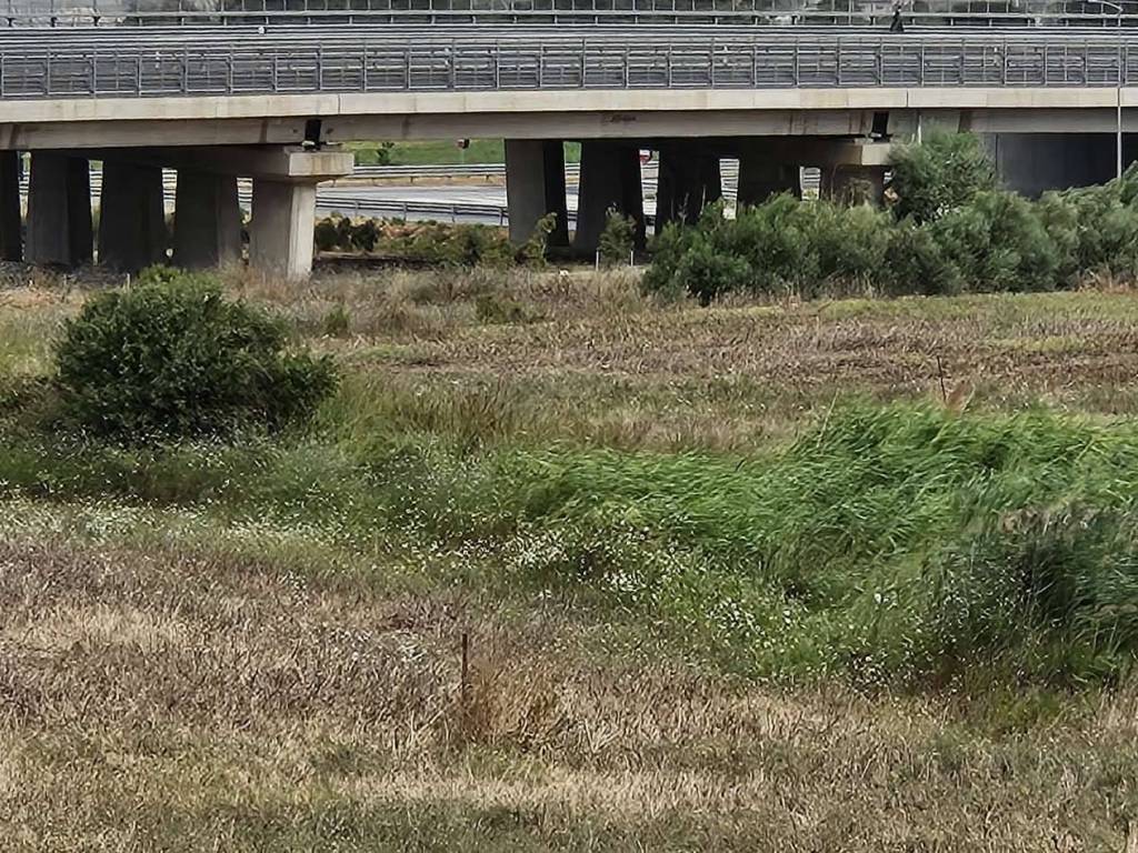 Terreno edificabile strada dei cipressi, loc. pian d'organo, tarquinia