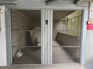 WhatsApp Image 2024-08-12 at 13.45.55-2.jpeg