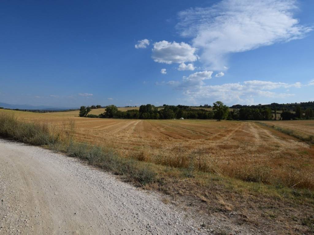 Terreno agricolo, collestrada, perugia