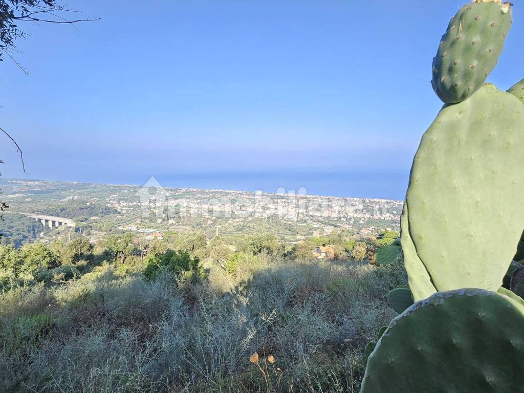 Vista