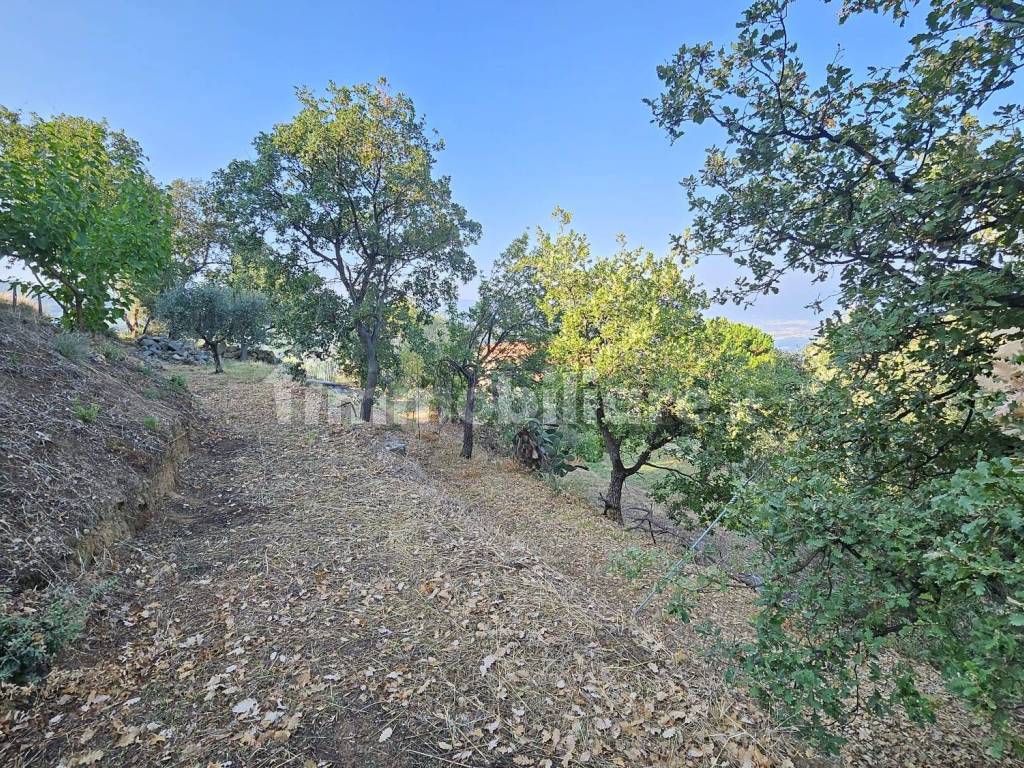 Terreno
