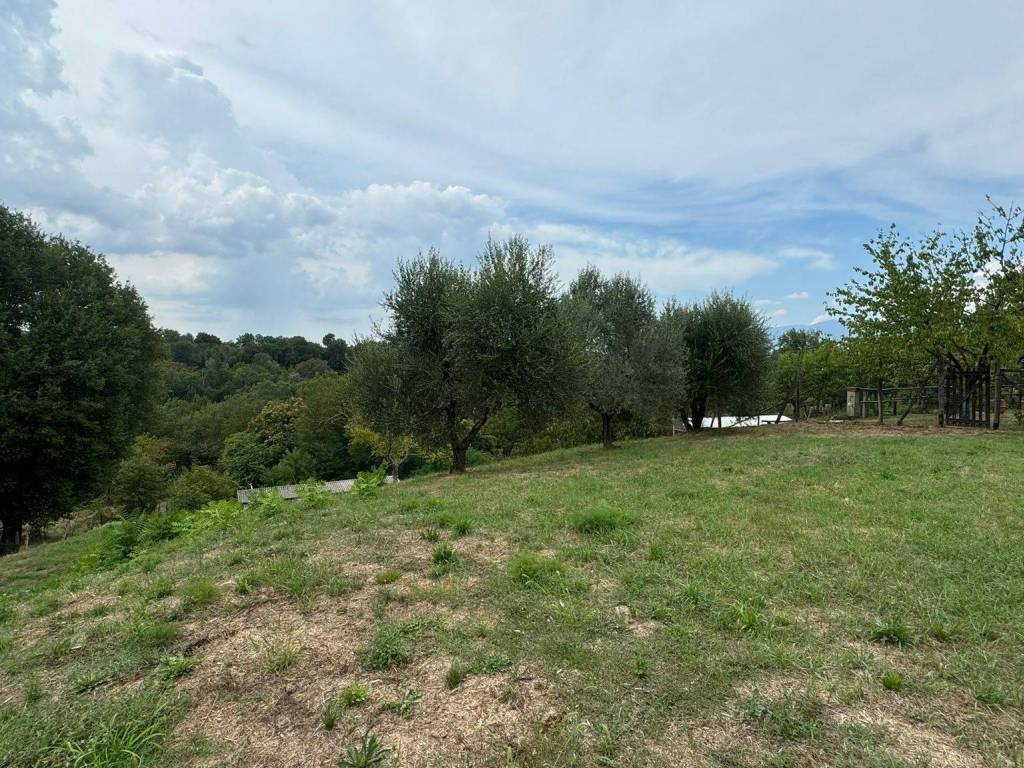 Terreno agricolo via guglielmo oberdan, centro, bucine