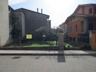 Zona
