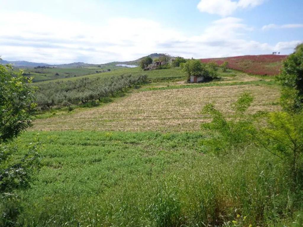 Terreno non edificabile via montalfano, cupello