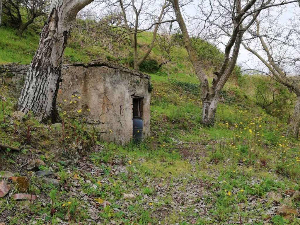 Terreno agricolo circumvallazione snc, somma vesuviana