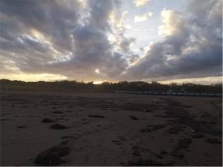 spiaggia alberoni