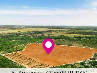 TERRENO VENDITA