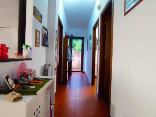 Ingresso