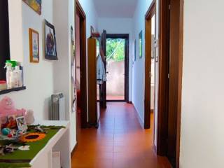 Ingresso