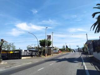 Zona