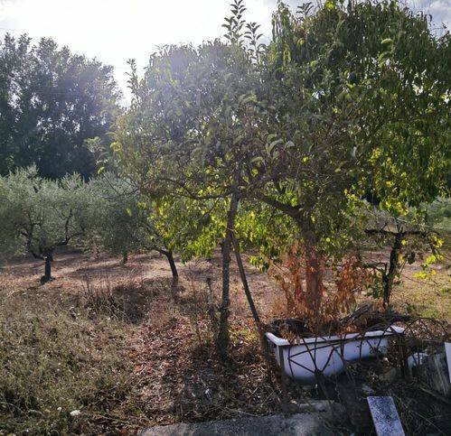 Terreno agricolo cretarossa, sala, mellusi, benevento