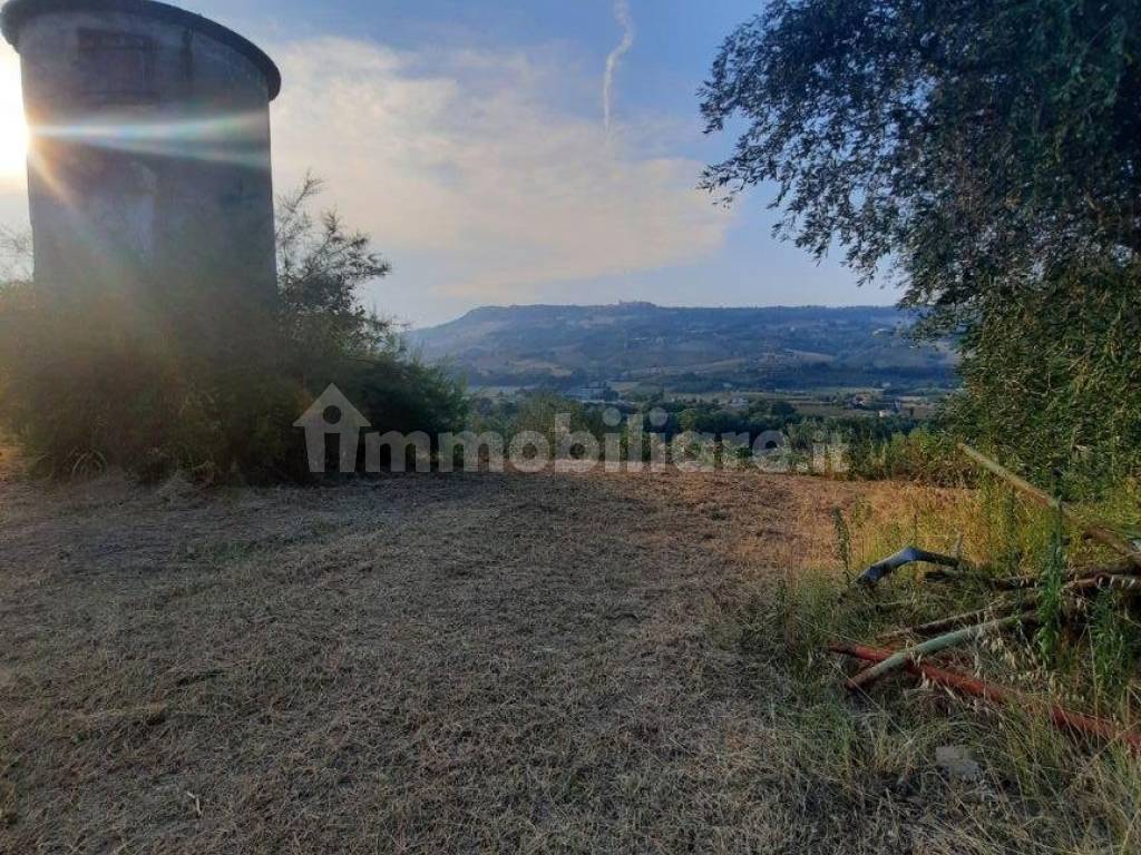 Terreno