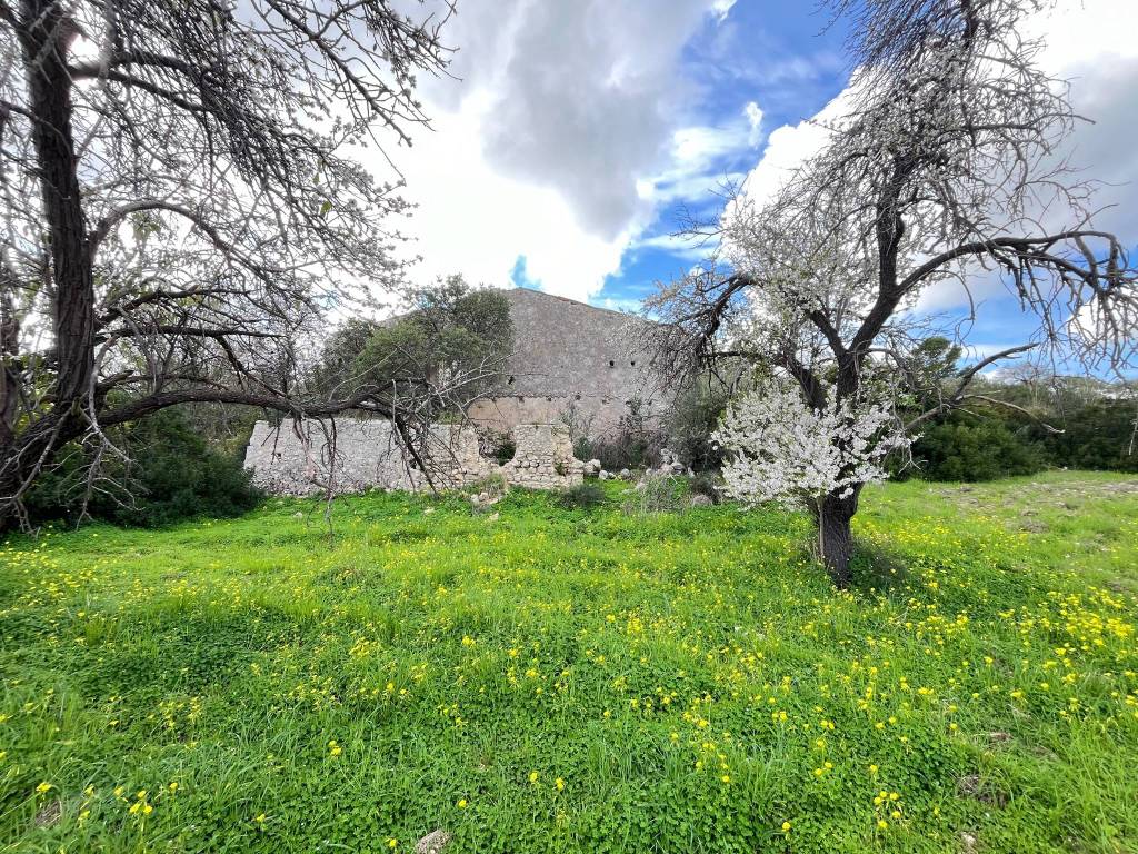 Terreno agricolo strada statale di noto, noto