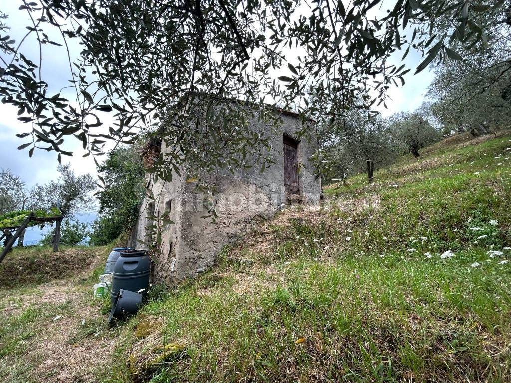 WhatsApp Image 2023-08-04 at 09.27.36 (3).jpeg