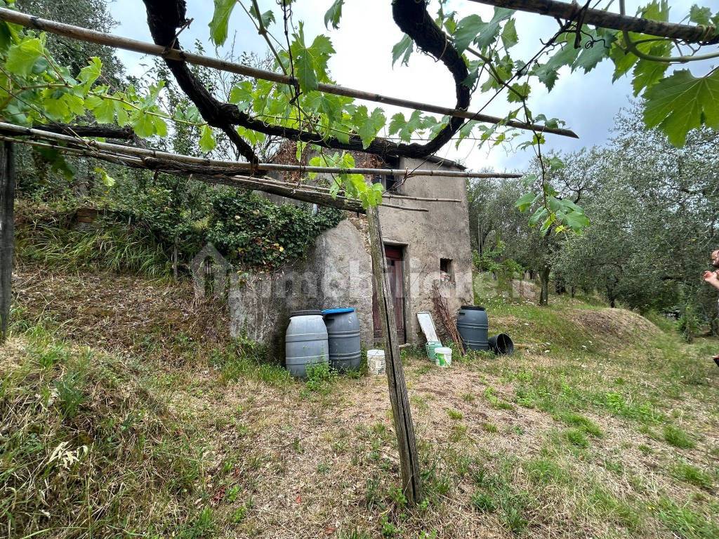 WhatsApp Image 2023-08-04 at 09.27.36 (6).jpeg