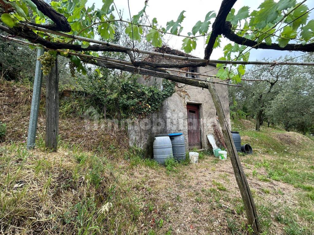 WhatsApp Image 2023-08-04 at 09.27.36 (7).jpeg