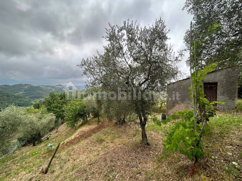 WhatsApp Image 2023-08-04 at 09.27.35 (4).jpeg