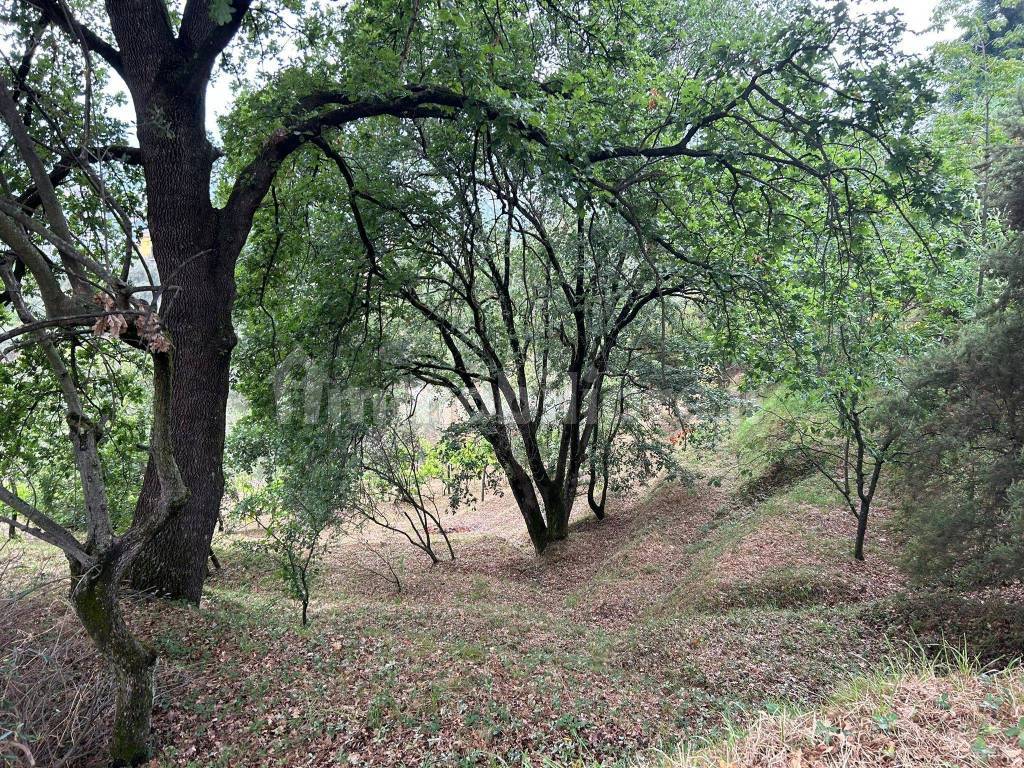 WhatsApp Image 2023-08-04 at 09.27.33 (1).jpeg