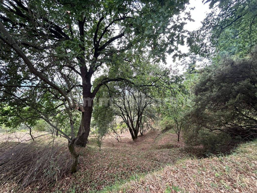 WhatsApp Image 2023-08-04 at 09.27.26.jpeg