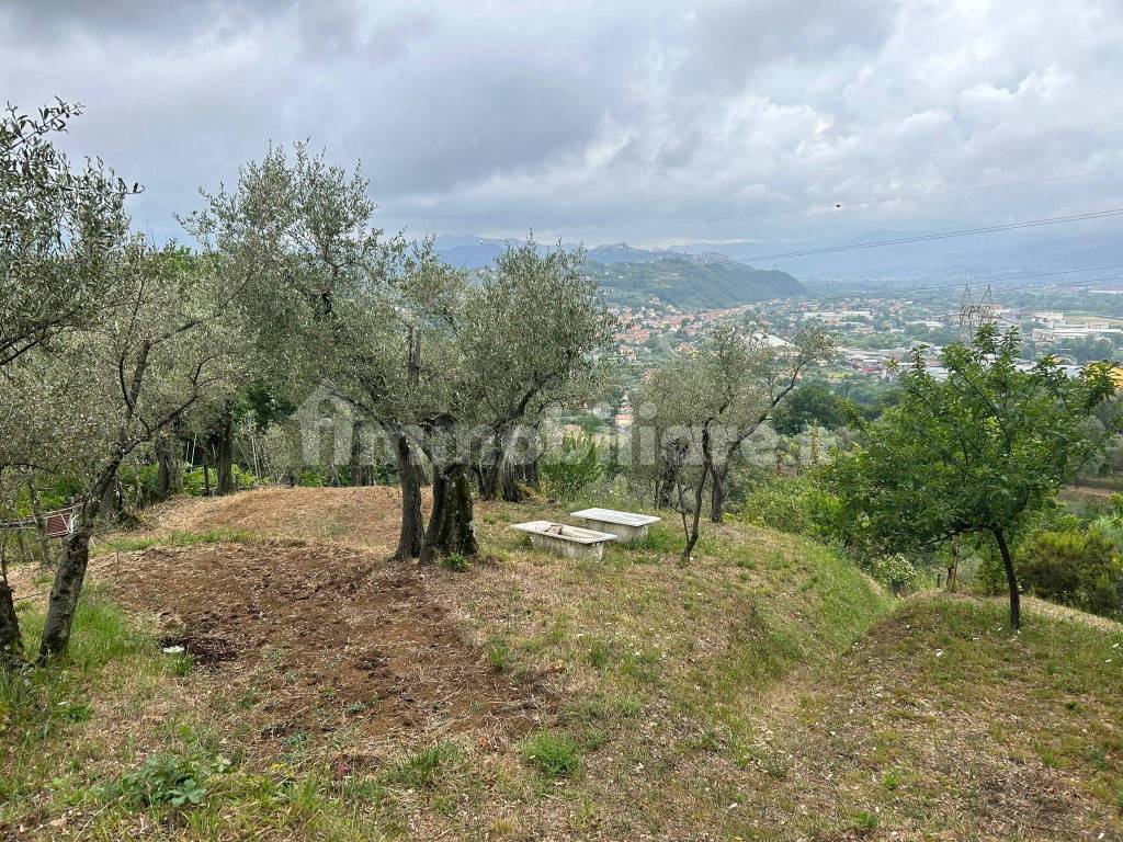 WhatsApp Image 2023-08-04 at 09.27.33.jpeg