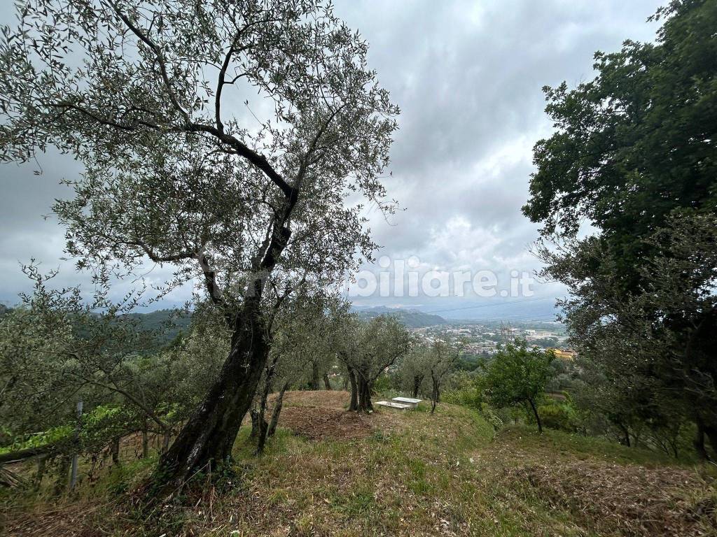 WhatsApp Image 2023-08-04 at 09.27.34 (3).jpeg