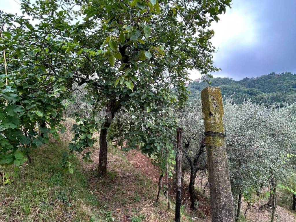 WhatsApp Image 2023-08-04 at 09.27.35.jpeg