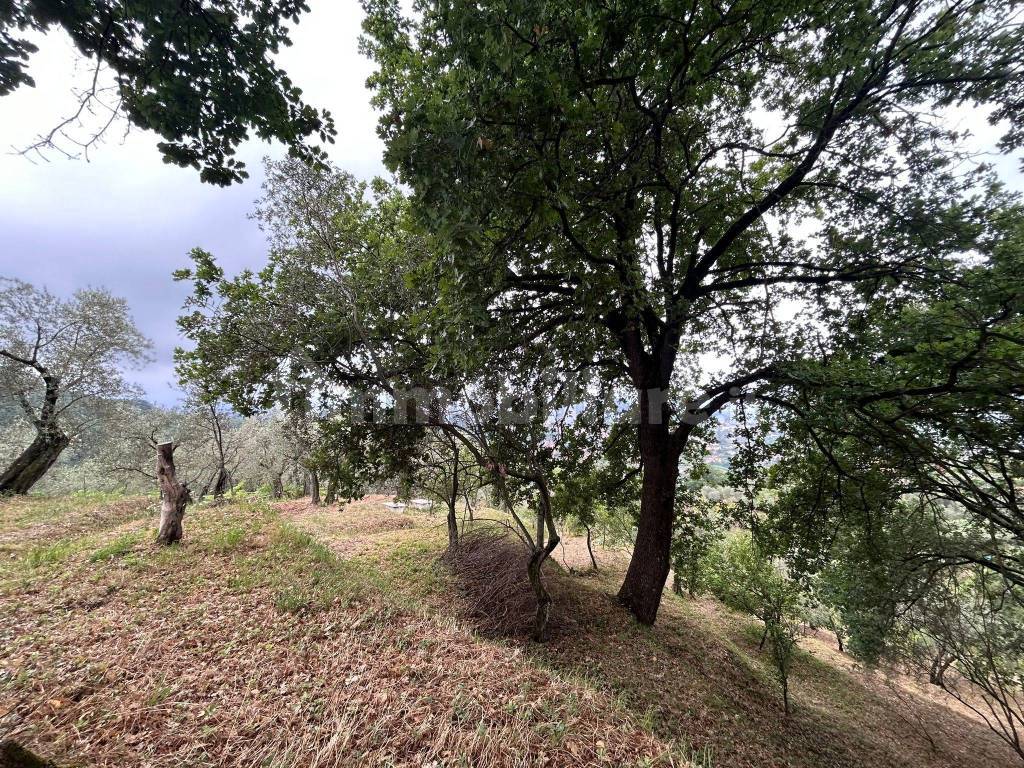 WhatsApp Image 2023-08-04 at 09.27.18.jpeg