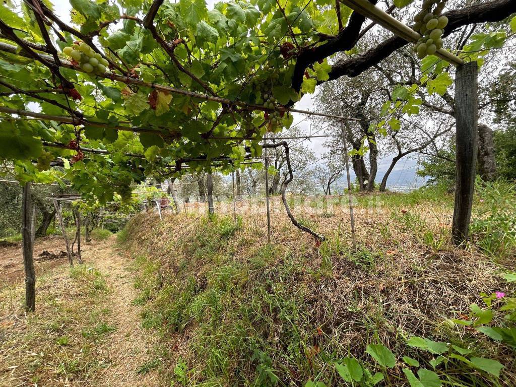 WhatsApp Image 2023-08-04 at 09.27.36 (8).jpeg