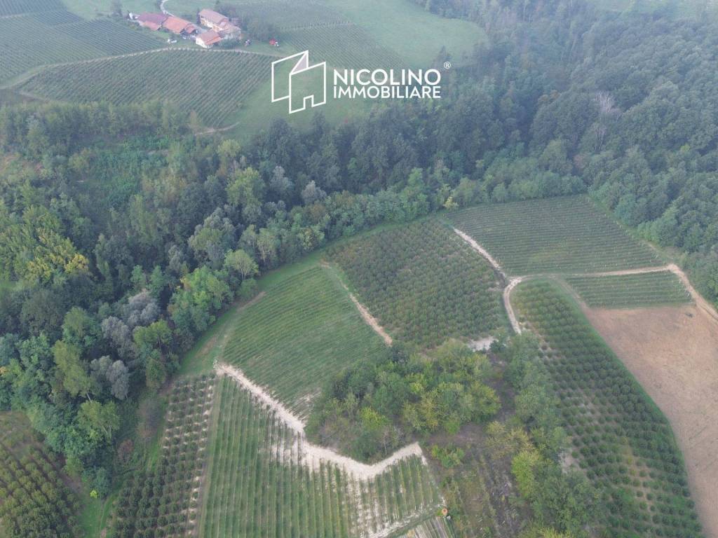 Terreno agricolo località sant'anna, monforte d'alba