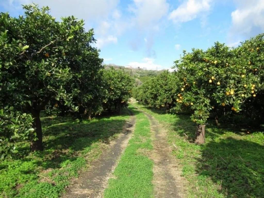 Terreno non edificabile via feudogrande, fiumefreddo di sicilia