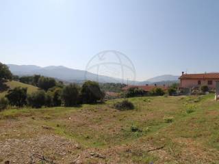 img 2886 wmk 0