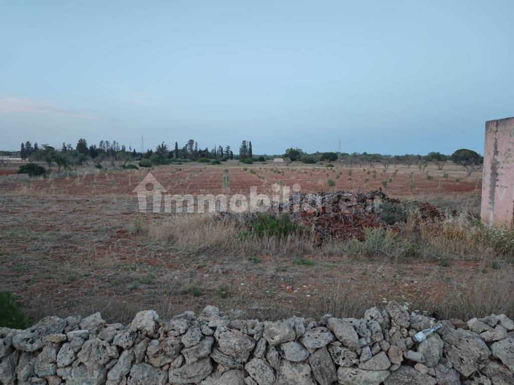 terreno con fabbricato agricolo