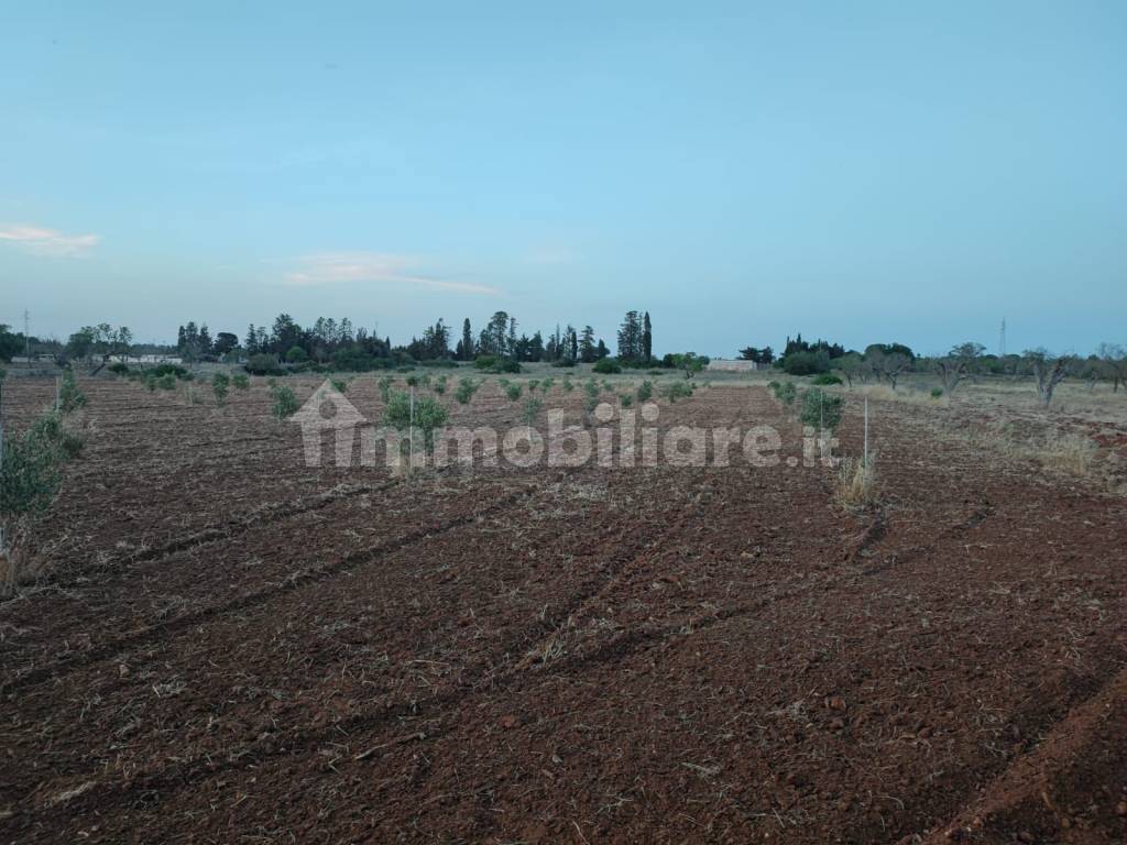 terreno con fabbricato agricolo