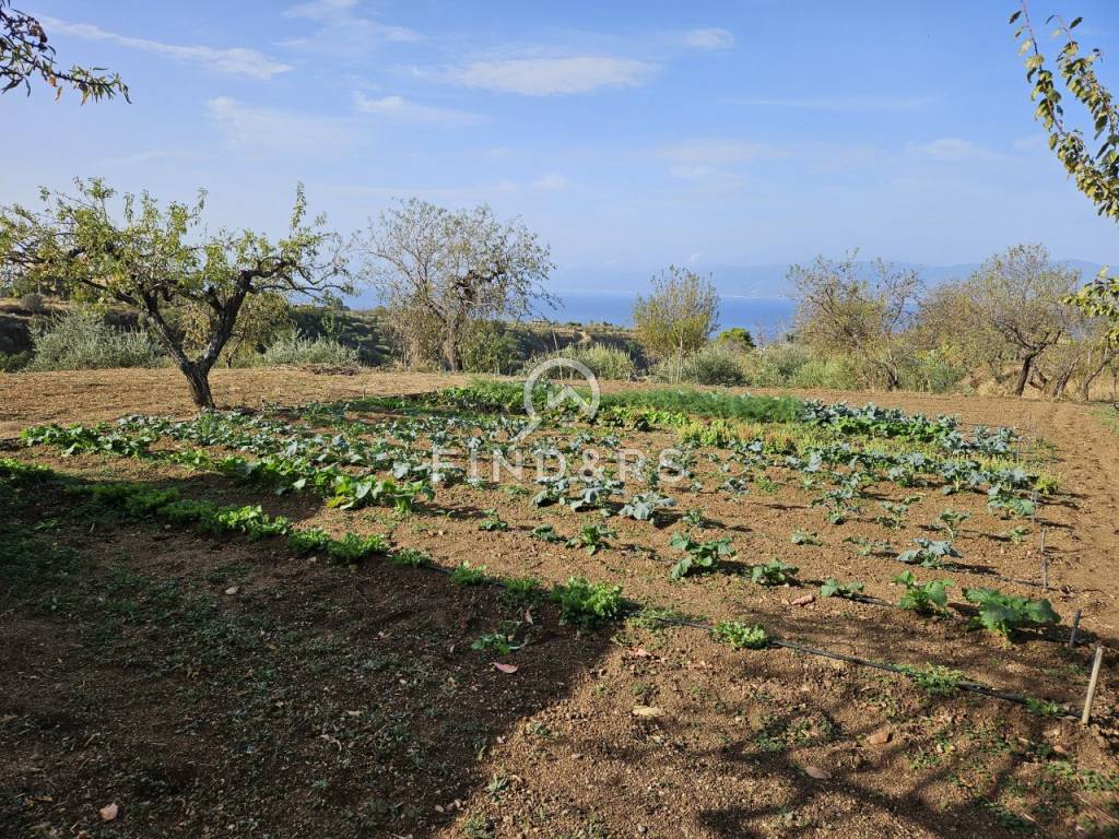 Terreno agricolo contrada gurnale, gallina - armo, reggio calabria