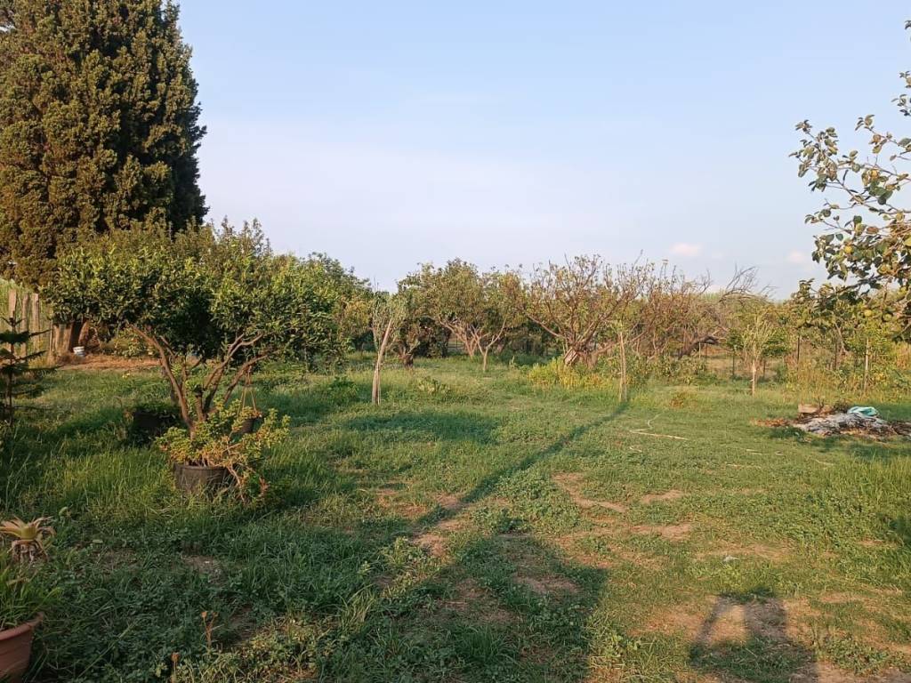 Terreno agricolo zona industriale, pace del mela