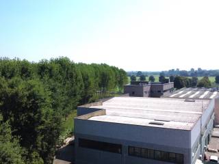 Vista
