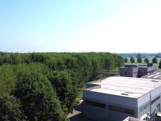 Vista