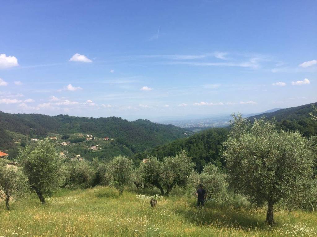 Terreno edificabile via poggiolo, marliana