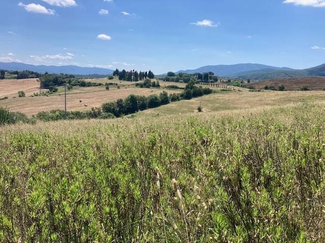 Terreno agricolo strada vicinale di sant'agata, guardistallo